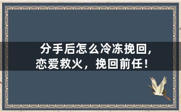 分手后怎么冷冻挽回,恋爱救火，挽回前任！