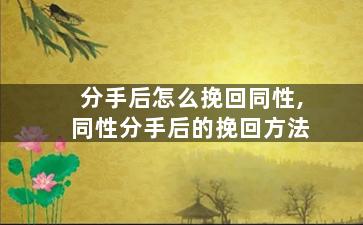 分手后怎么挽回同性,同性分手后的挽回方法