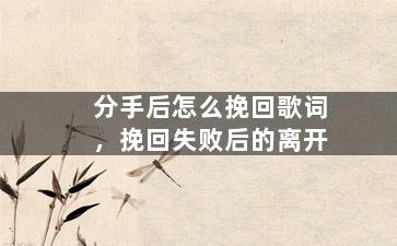 分手后怎么挽回歌词，挽回失败后的离开