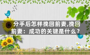分手后怎样挽回前妻,挽回前妻：成功的关键是什么？