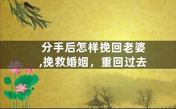 分手后怎样挽回老婆,挽救婚姻，重回过去