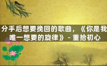 分手后想要挽回的歌曲，《你是我唯一想要的旋律》