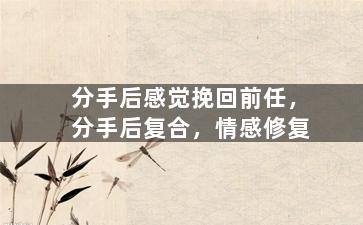 分手后感觉挽回前任，分手后复合，情感修复