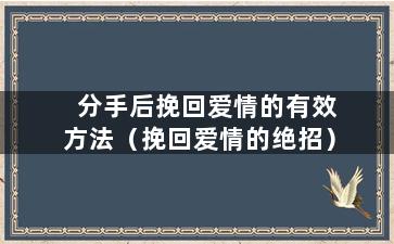 分手后挽回爱情的有效方法（挽回爱情的绝招）