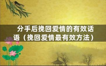 分手后挽回爱情的有效话语（挽回爱情最有效方法）