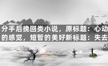 分手后挽回类小说，原标题：心动的感觉，短暂的美好新标题：失去又重逢的爱恋