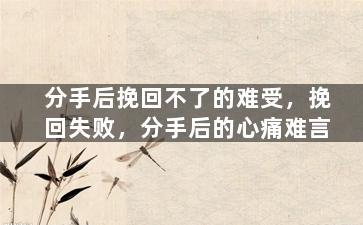 分手后挽回不了的难受，挽回失败，分手后的心痛难言