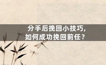 分手后挽回小技巧,如何成功挽回前任？