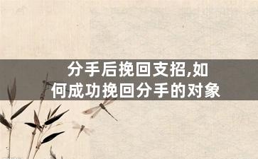 分手后挽回支招,如何成功挽回分手的对象