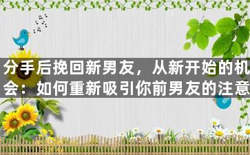 分手后挽回新男友，从新开始的机会：如何重新吸引你前男友的注意力