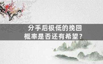 分手后极低的挽回概率是否还有希望？