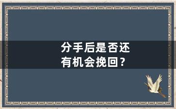分手后是否还有机会挽回？