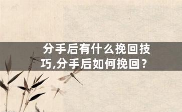 分手后有什么挽回技巧,分手后如何挽回？