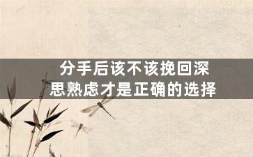 分手后该不该挽回深思熟虑才是正确的选择