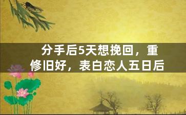 分手后5天想挽回，重修旧好，表白恋人五日后