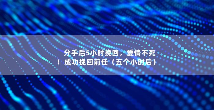 分手后5小时挽回，爱情不死！成功挽回前任（五个小时后）