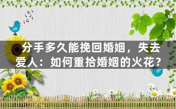 分手多久能挽回婚姻，失去爱人：如何重拾婚姻的火花？