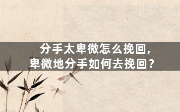 分手太卑微怎么挽回,卑微地分手如何去挽回？