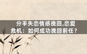 分手失恋情感挽回,恋爱危机：如何成功挽回前任？