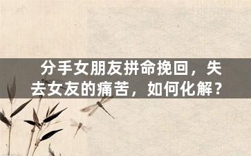 分手女朋友拼命挽回，失去女友的痛苦，如何化解？