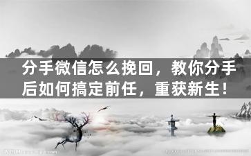 分手微信怎么挽回，教你分手后如何搞定前任，重获新生！