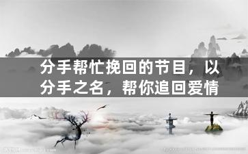 分手帮忙挽回的节目，以分手之名，帮你追回爱情