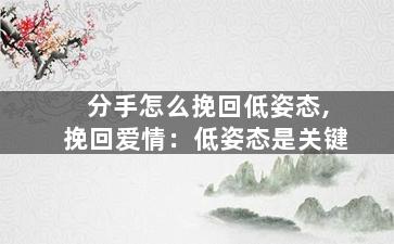 分手怎么挽回低姿态,挽回爱情：低姿态是关键