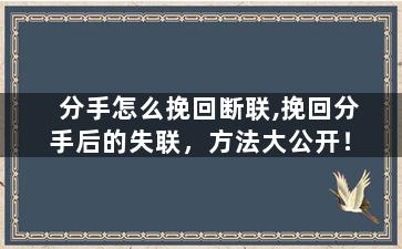 分手怎么挽回断联,挽回分手后的失联，方法大公开！