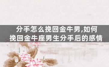 分手怎么挽回金牛男,如何挽回金牛座男生分手后的感情