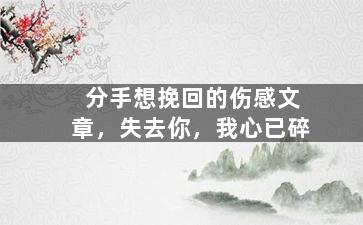 分手想挽回的伤感文章，失去你，我心已碎
