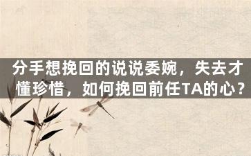 分手想挽回的说说委婉，失去才懂珍惜，如何挽回前任TA的心？