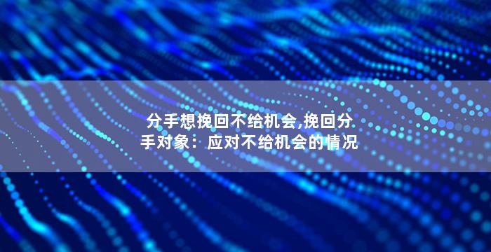 分手想挽回不给机会,挽回分手对象：应对不给机会的情况