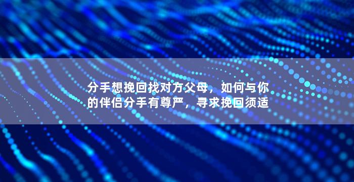 分手想挽回找对方父母，如何与你的伴侣分手有尊严，寻求挽回须适度与对方父母沟通