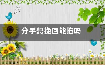 分手想挽回能拖吗
