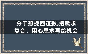 分手想挽回道歉,抱歉求复合：用心恳求再给机会