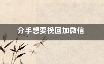 分手想要挽回加微信（分手后想加回微信怎么发验证消息）