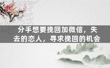 分手想要挽回加微信，失去的恋人，寻求挽回的机会