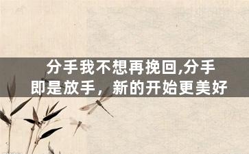 分手我不想再挽回,分手即是放手，新的开始更美好