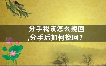 分手我该怎么挽回,分手后如何挽回？