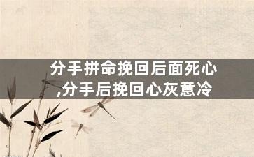 分手拼命挽回后面死心,分手后挽回心灰意冷