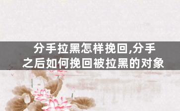 分手拉黑怎样挽回,分手之后如何挽回被拉黑的对象