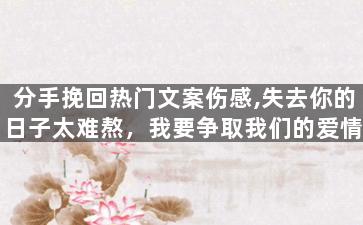 分手挽回热门文案伤感,失去你的日子太难熬，我要争取我们的爱情