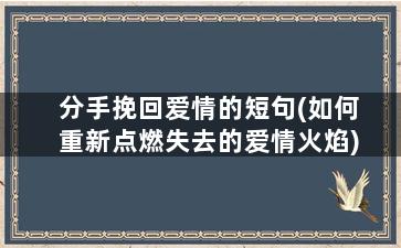 分手挽回爱情的短句(如何重新点燃失去的爱情火焰)