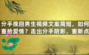 分手挽回男生视频文案简短，如何重拾爱情？走出分手阴影，重新点燃爱火！