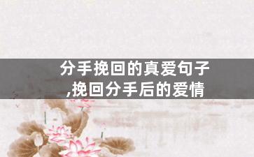 分手挽回的真爱句子,挽回分手后的爱情