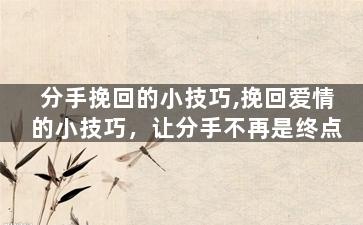 分手挽回的小技巧,挽回爱情的小技巧，让分手不再是终点