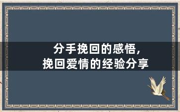 分手挽回的感悟,挽回爱情的经验分享