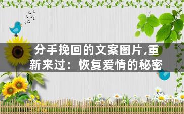 分手挽回的文案图片,重新来过：恢复爱情的秘密