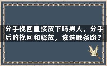 分手挽回直接放下吗男人，分手后的挽回和释放，该选哪条路？