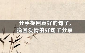 分手挽回真好的句子,挽回爱情的好句子分享